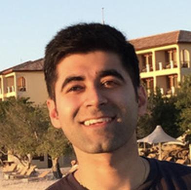 Carnivore diet rheumatoid arthritis inflammation reversal testimonial